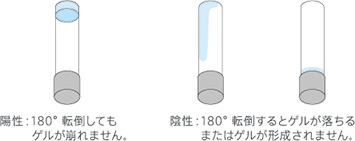 判定（ゲル化法）