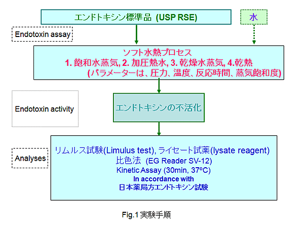 Fig.1実験手順