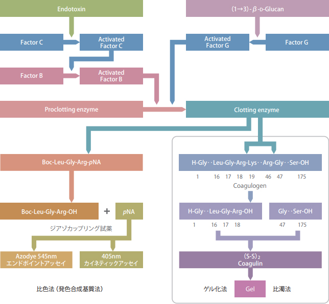 原理反応機構の概略図